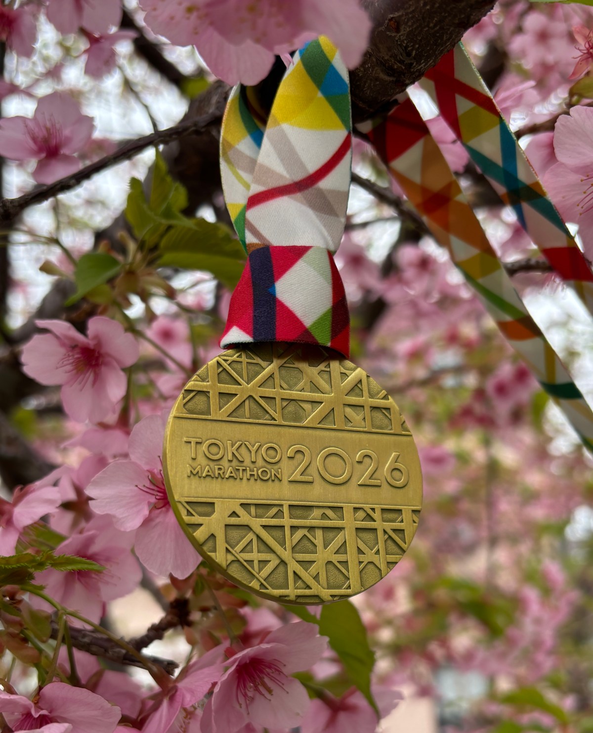 2026 Tokyo Marathon Race&nbsp;Report